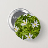 Buschwindröschen Button (Vorne & Hinten)