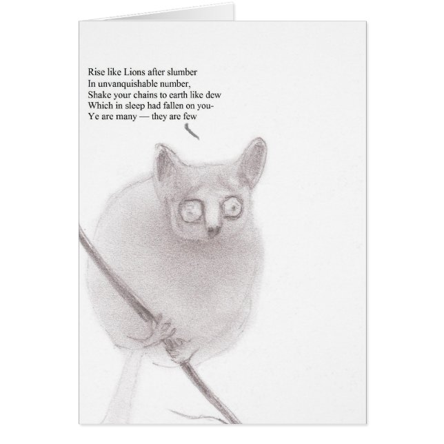 Bush-Babyanarchist (Vorne)