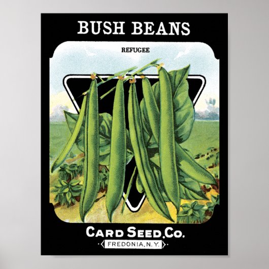 Bush Beans Card Seed CoPäckchen Vintag Fredonia Poster (Vorne)