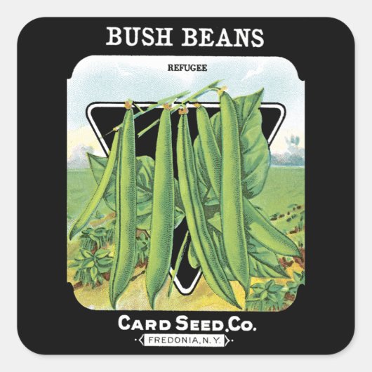 Bush Beans Seed Packet Label Quadratischer Aufkleber (Vorderseite)