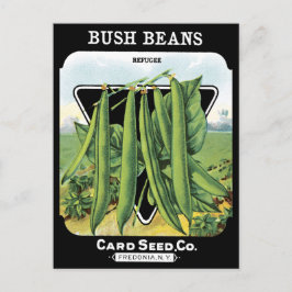 Bush Boans Seed Pack Gemüse Garten schwarz NY Postkarte