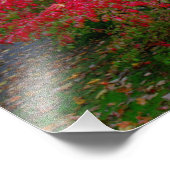 Bush brennen fotodruck (Ecke)