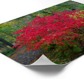 Bush brennen poster (Ecke)