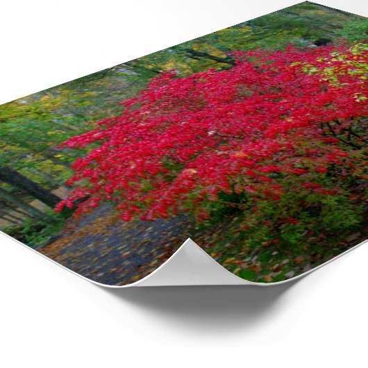 Bush brennen poster (Ecke)