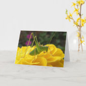 Bush Cricket Grußkarte Karte (Gelbe Blume)