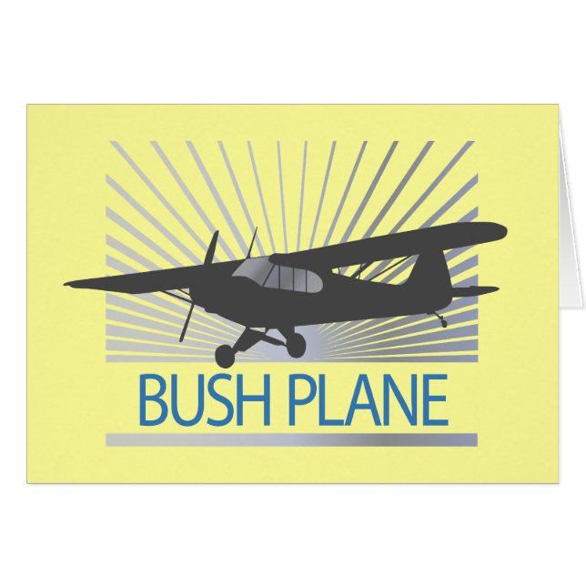 Bush Flugzeug (Vorderseite (Horizontal))