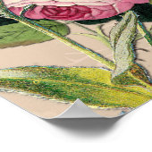 Bush Garden Green Soft Pink Roses Poster (Ecke)