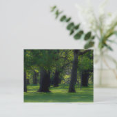 Bush Park Salem Oregon Postkarte (Stehend Vorderseite)