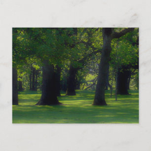 Bush Park Salem Oregon Postkarte