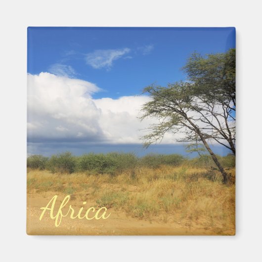 Bush Savannah Landscape Africa Safari Tree Magnet (Vorne)