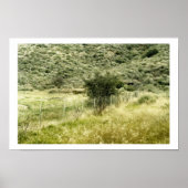 Bush und der Zaun Poster (Vorne)