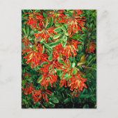 Bush und Emu Wren des Chilen, der schönen Kunst, Postkarte (Vorderseite)