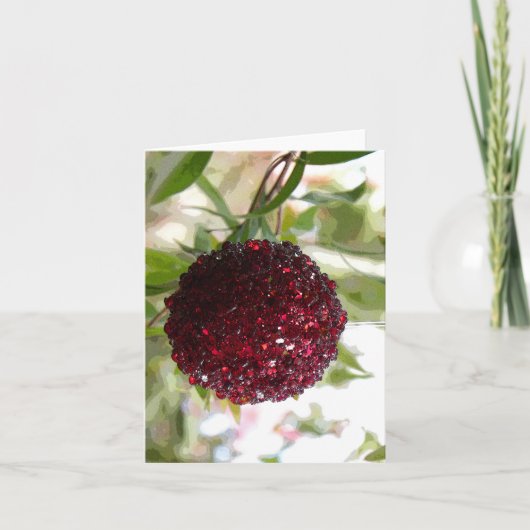 Bush Weihnachten (Vorderseite)