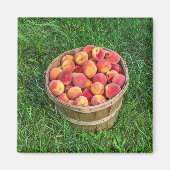 Bushel Basket of Fresh Peaches Magnet (Vorne)
