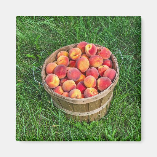 Bushel Basket of Fresh Peaches Magnet (Vorne)