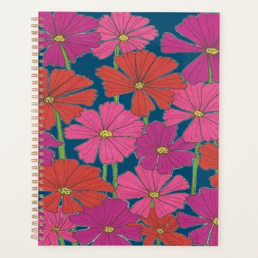 Bushel von hellen Kosmos Planer (Vorderseite)