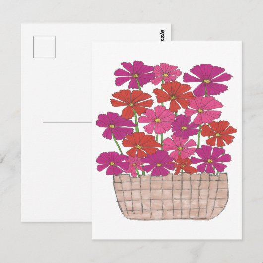 Bushel von hellen Kosmos Postkarte (Vorne/Hinten)