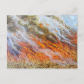 Bushfire Inferno 2014 Postkarte (Vorderseite)
