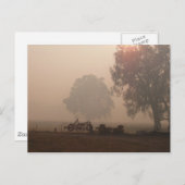 Bushfire Rauchpostkarte Postkarte (Vorne/Hinten)