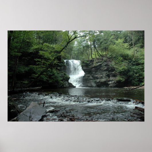 Bushkill Falls in the Poconos. drucken Sie 008 Poster (Vorne)