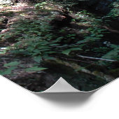 Bushkill Falls in the Poconos. drucken Sie 0206 Poster (Ecke)