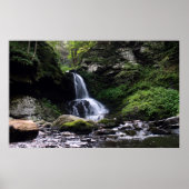 Bushkill Falls Poster (Vorne)