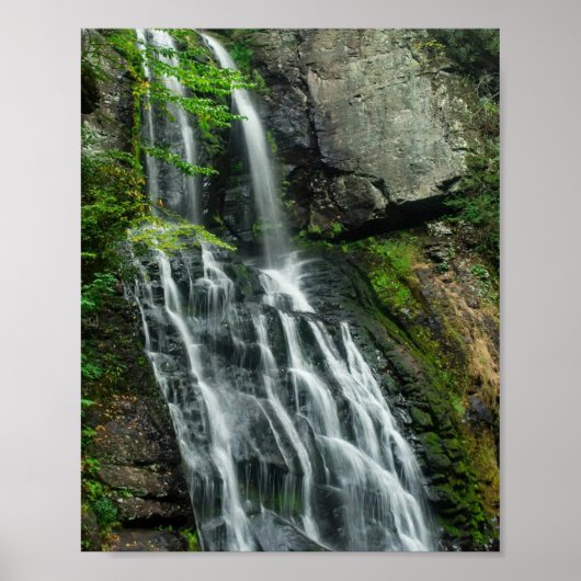 Bushkill Falls Poster (Vorne)