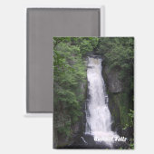 Bushkill Falls Rectangle Magnet (Vorderseite/Rückseite)