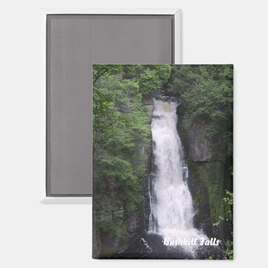 Bushkill Falls Rectangle Magnet (Vorderseite/Rückseite)