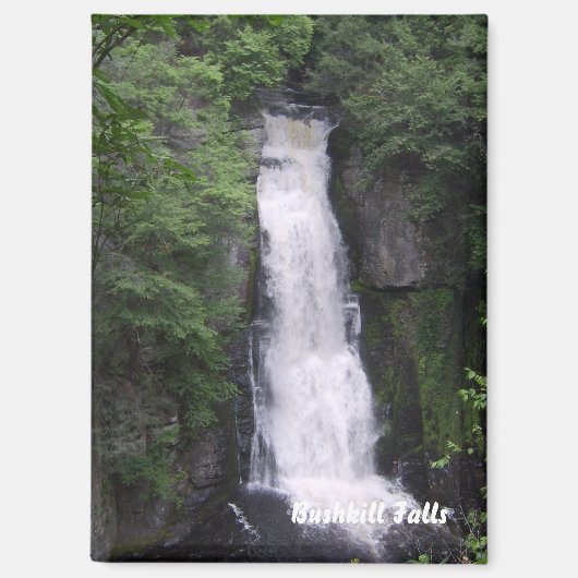 Bushkill Falls Rectangle Magnet (Vorderseite)
