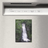 Bushkill Falls Rectangle Magnet (In Situ (Geschirrspüler))
