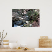 Bushkill River in the Poconos, Print 0086 Poster (Küche)