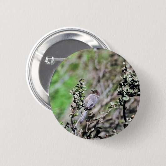 Bushtit Button (Vorne & Hinten)