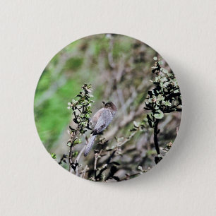 Bushtit Button