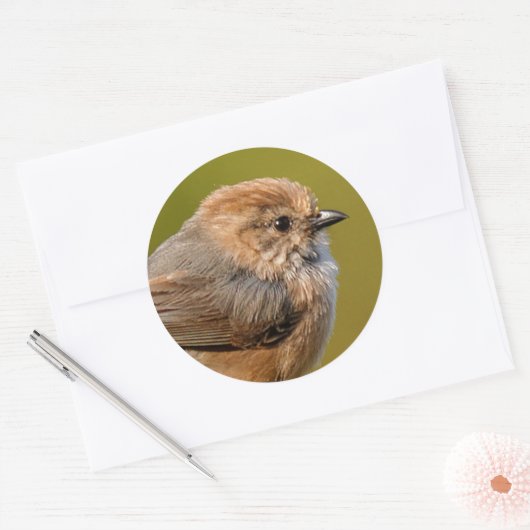 Bushtit im Frühling Runder Aufkleber (Umschlag)