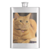 Bushy Flachmann (Vorderseite)