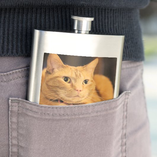 Bushy Flachmann (Beispiel)