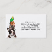 Business Card für Heimtiere Treuekarte (Rückseite)