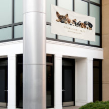 Business Card für niedliche Hunde