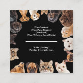 Business-Card für Schwarze Heimtiere mit benutzerd Quadratische Visitenkarte (Rückseite)