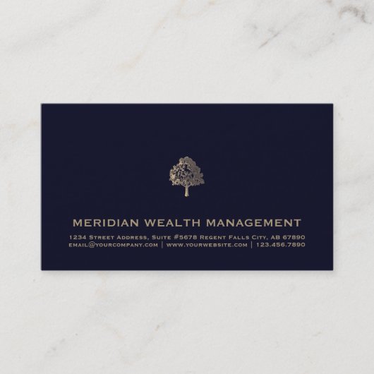 Business Card Navy Blue and Gold Financial Planer Visitenkarte (Vorderseite)