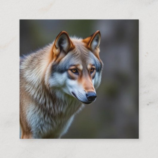 Business card quadratische visitenkarte (Vorderseite)