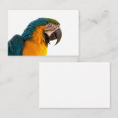 Business Card Visitenkarte (Vorne/Hinten)