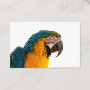 Business Card Visitenkarte