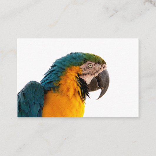 Business Card Visitenkarte (Vorderseite)