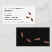 Business Cards für die Schädlingsbekämpfung mit Ko Visitenkarte (Vorne/Hinten)