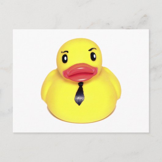 Business Duck Postkarte (Vorderseite)