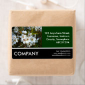 Business Foto - Cherry Blossom (Insitu)