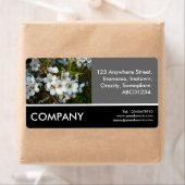 Business Foto - Cherry Blossom (Insitu)