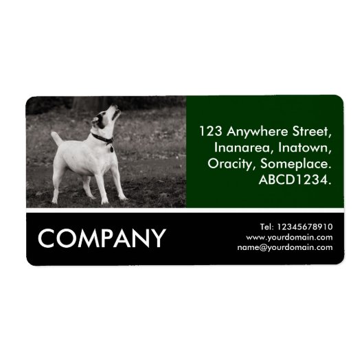 Business Foto - Dog Agog (Vorne)